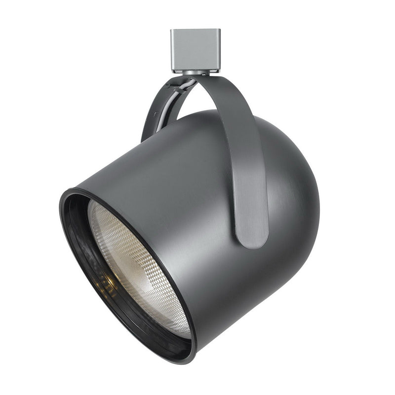 Line Voltage, Integrated Wire, Par38 - Brushed Steel