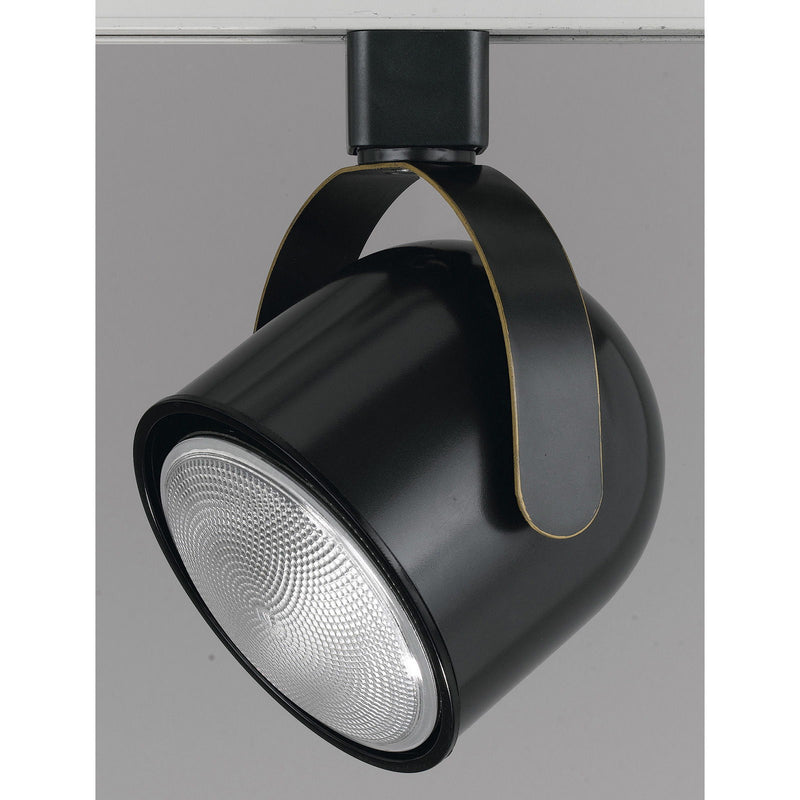 Par 30, Line Voltage Fixture - Dark Bronze