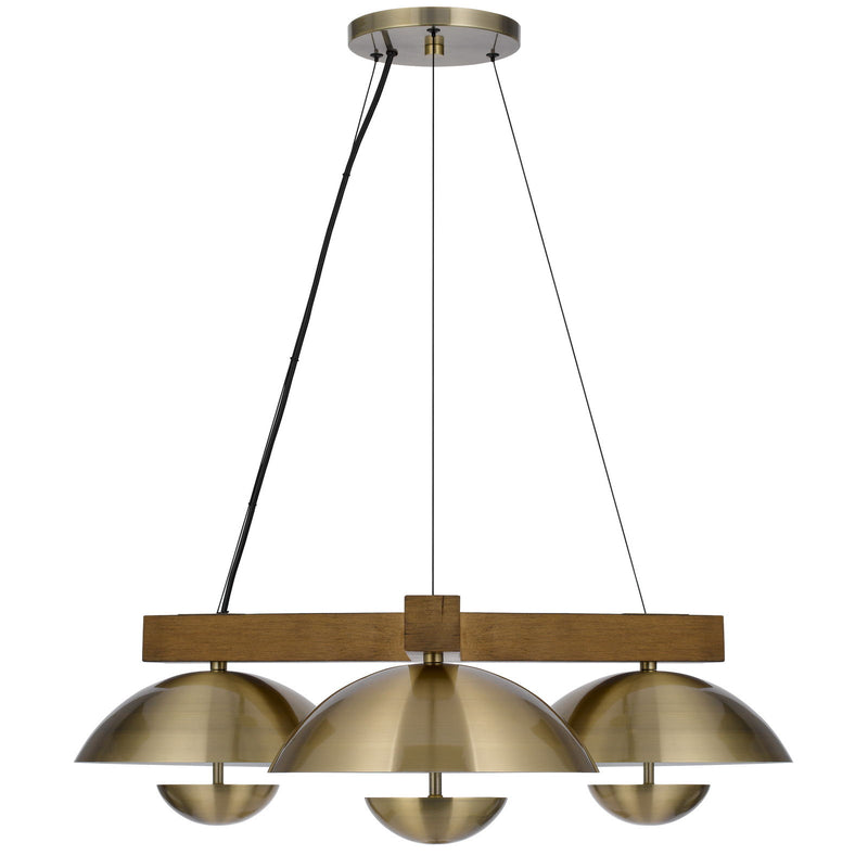 Lakeland - 8.75" Height Metal / Wood Pendant - Antique Brass / Dark Brown