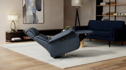 Fjords Cosmo Swing Relaxer Zero Gravity Motorized Recliner Chair