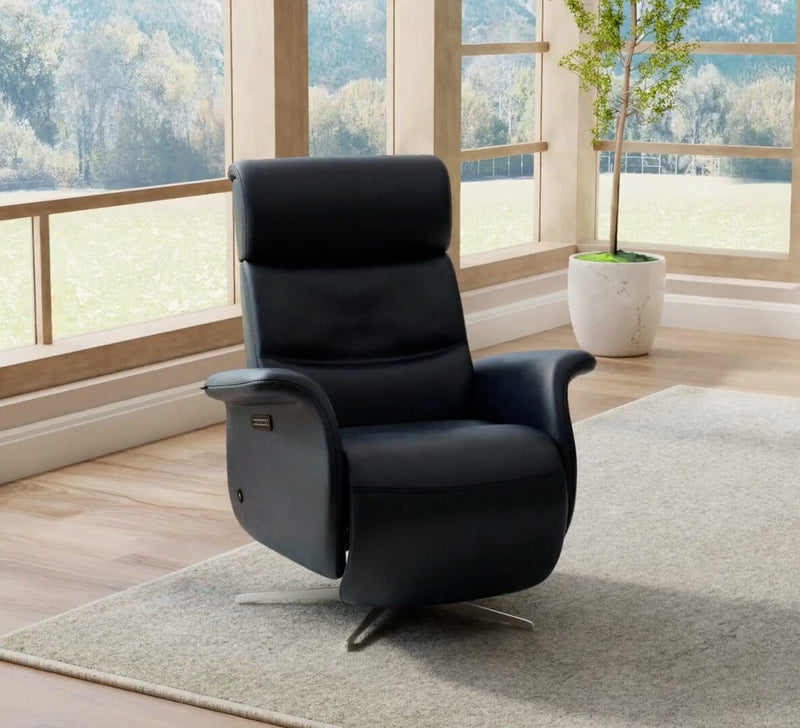 Fjords Cosmo Swing Relaxer Zero Gravity Motorized Recliner Chair