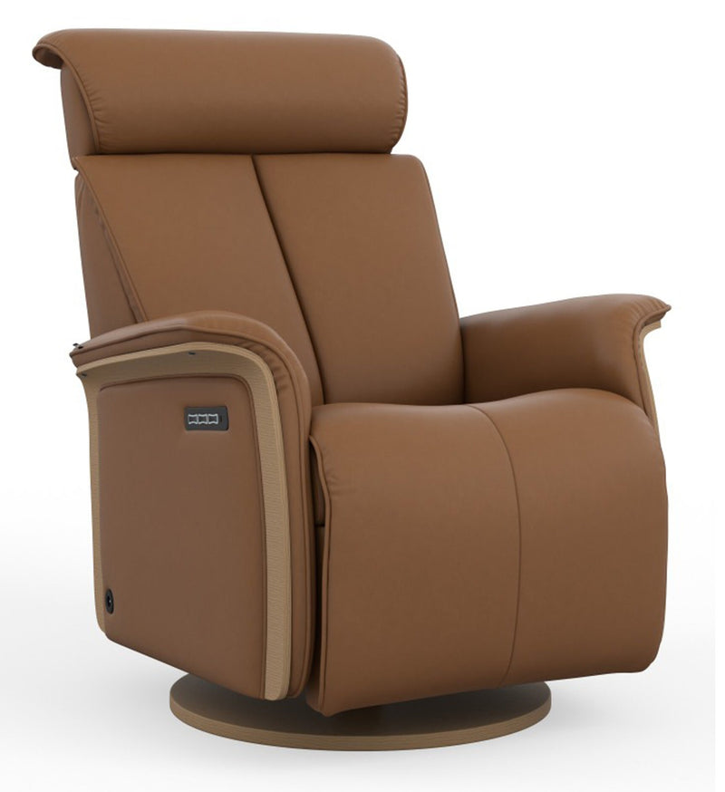 Fjords Jewel Large Leather Swing Relaxer SL Cigar