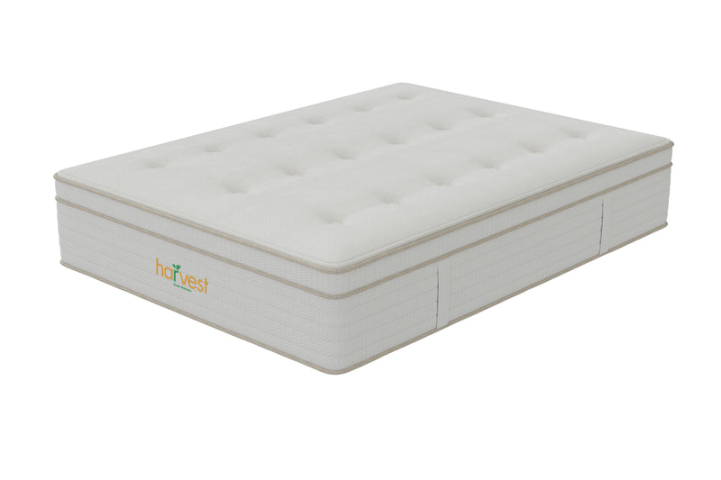 Harvest Green Pillow Top Organic Mattress