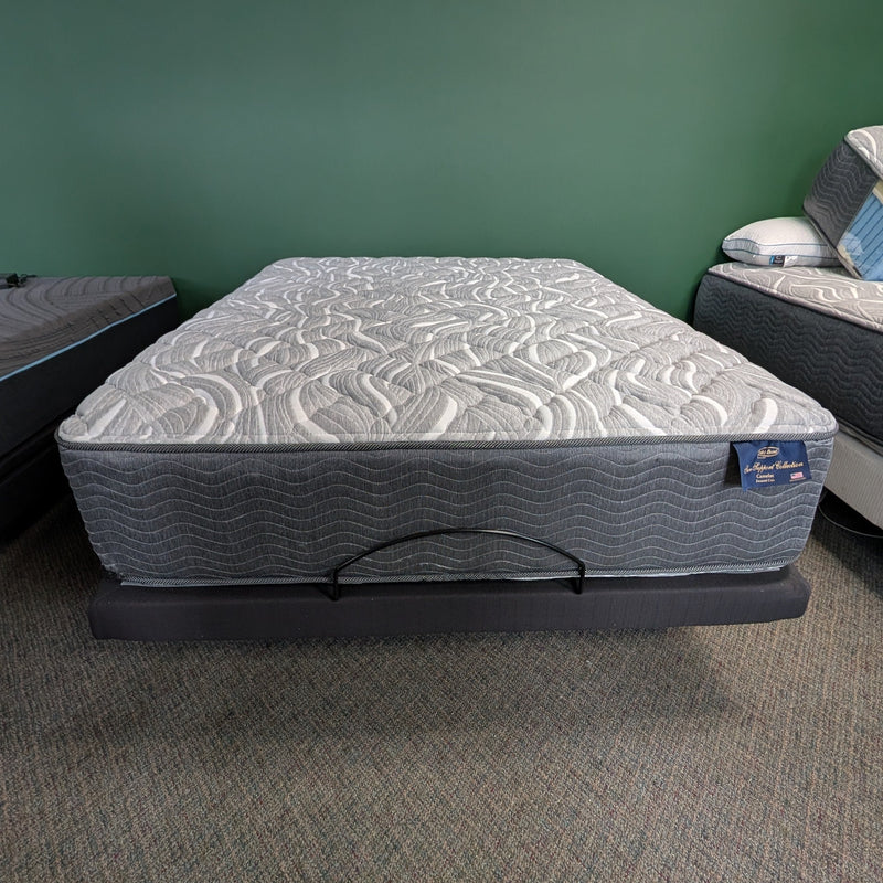 Camelot Plush Mattress by Gold Bond