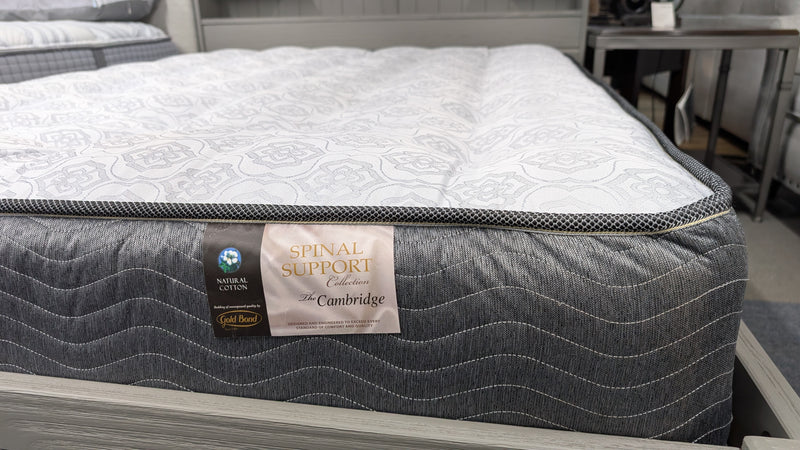 Cambridge Firm Mattress by Gold Bond